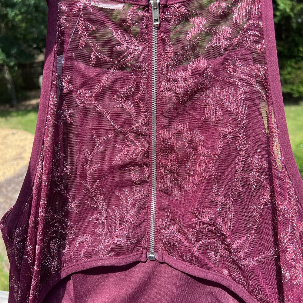 NWT!  Francesca’s homecoming dance, party, cocktail dress with sheer lace back - Picture 4 of 4